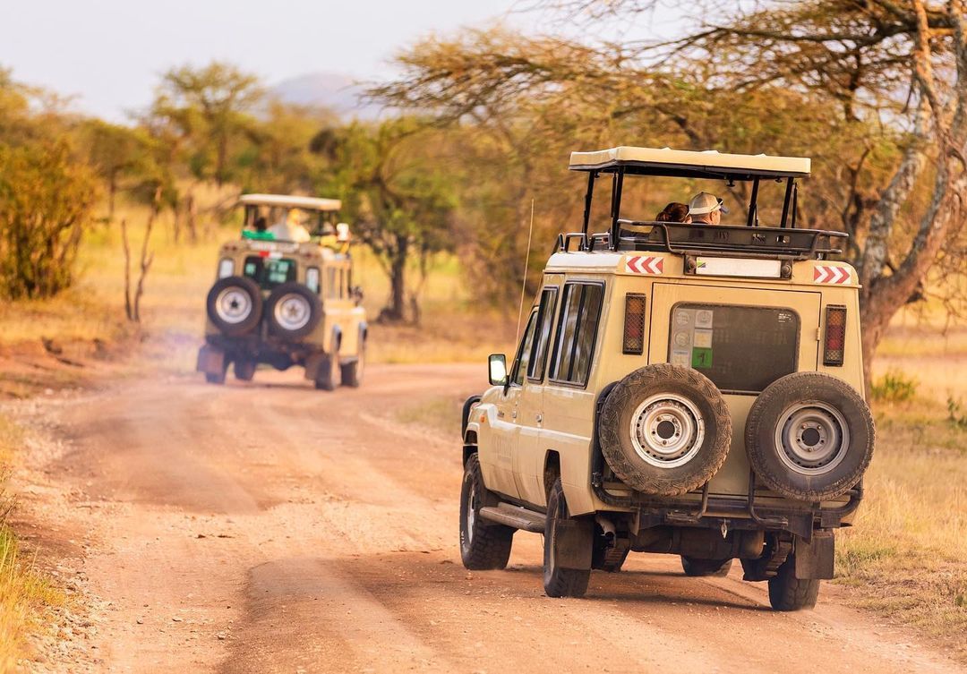 Avinterra Tours